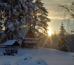 Коттедж стандарт в Дом под соснами