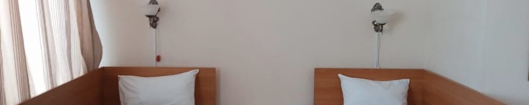 Двухместный просторный номер в Smart Hotel KDO Курган