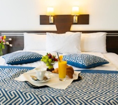 Одноместный номер Executive в Grami Hotel Sofia