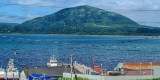 Южно-Курильск: Гостевой дом Орион