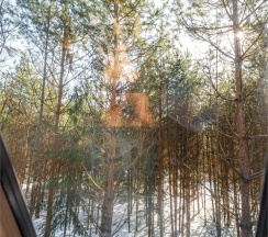 A-Frame в Green club family