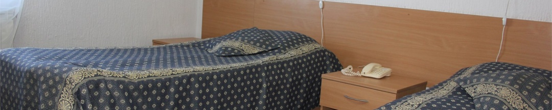 Cтандартный номер с двумя раздельными кроватями в Алтек