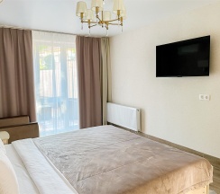 Люкс однокомнатный с террасой в Мореин