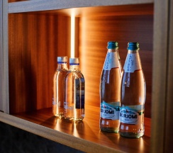 Номер люкс президентский в Alleya Resort