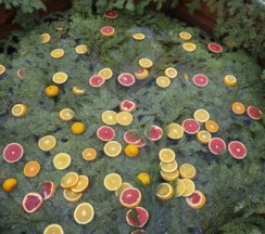 River-5 BLACK | Банный чан в Барские Поля