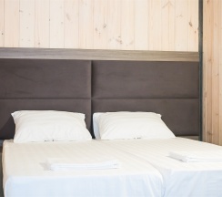 Двухместный стандарт с раздельными кроватями в Лотос