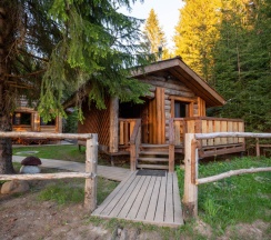 Еловая усадьба в Мазаная Горка