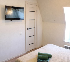 Двухместный номер Business двуспальная кровать в Лев Толстой