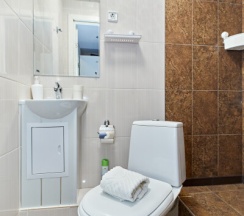 Одноместный номер с ванной комнатой в У семи мостов