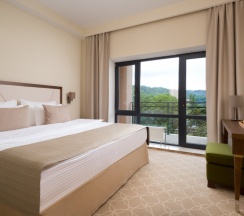 Двухместный люкс 2 отдельные кровати в Green Resort