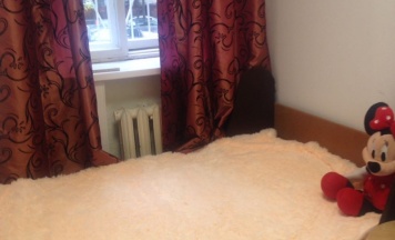 Одноместный номер в Пара Тапок