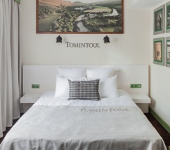 Двухместный номер Standard с видом на город двуспальная кровать в Академия Виски