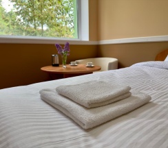 Номер стандарт улучшенный в Forest Relax