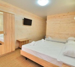 Номер стандарт с 1 односпальной и 1 двуспальной кроватью в Villa na peske