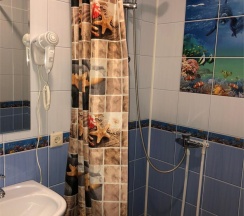 Двухместный номер с 2 отдельными кроватями в Sheremet