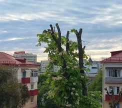 Студия в Квартира Студия Гродно