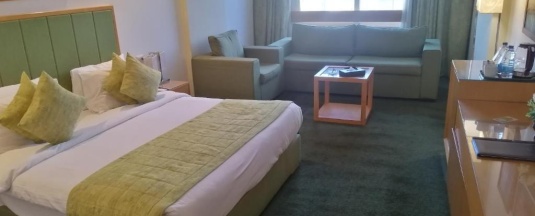 Одноместный номер Deluxe в Tolip El Narges Hotel & Spa