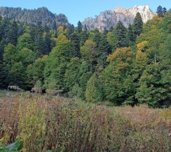 Квартира в ЮртХаджох