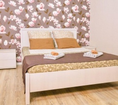 2-комнатные апартаменты люкс в B-Flats (Би-Флэтс) на улице Ленина 9