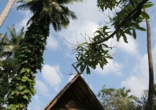 Бунгало с балконом в Banpu Koh Chang