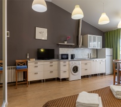 Апартаменты Люкс (Однокомнатный 2-х местный номер c кухней без балкона) в Odeon