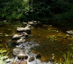 Дом №1 в Белка