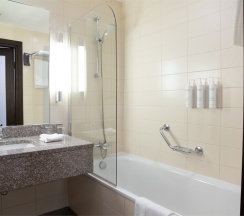 Deluxe Twin в Irkutsk City Center