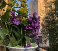 Номер "Романтик" с балконом Balcony Deluxe Room Dbl/Sngl в Trezzini