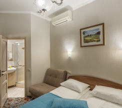 2-местный стандарт в Чехов