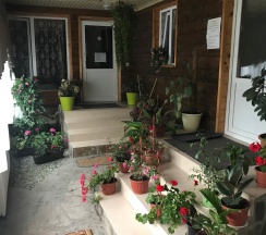 Номер Standard в Пикник