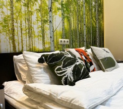 2-местный номер стандарт эконом (без окна) в Дисней