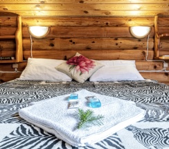 Delux double Room двухместный с балконом и видом на горы в Альпийское эхо
