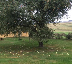 Коттедж в Kondrupgaard