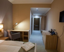 Одноместный номер Economy в RENION PARK HOTEL