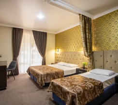 Четырехместный Премиум в Golden Kids