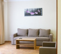 Повышенной комфортности двухкомнатный номер в Старый доктор