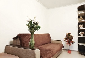 Апартаменты Апартаменты на Переверткина 1/4 в Воронеже