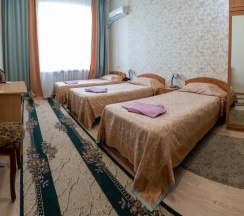 Трёхместный номер Standard в Товарково