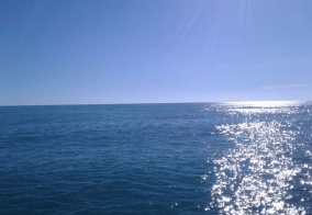 Вилла/Бунгало Море солнца в Сочи