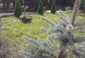 Гостевой дом Feel House в Республике Адыгея