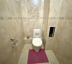2-комнатные апартаменты стандарт 2-к. кв. ул. Токмакова 36 №42 в Декабрист на Токмакова 36