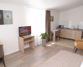 Двухместный Студио в Отель на Ваге