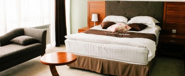 Номер стандарт с 1 двуспальной кроватью (с завтраком) в Резиденция