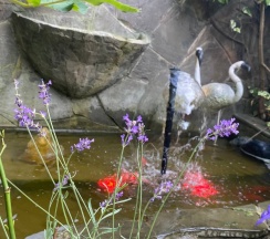 Двухкомнатные апартаменты в Гавань-Адлер