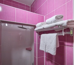 ТВИН без балкона в Диса