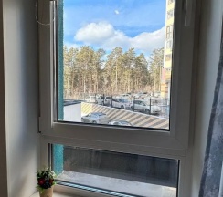 Двухместный номер Эконом в Royal Plaza