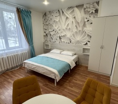 1-комнатные апартаменты студия с 1 двуспальной кроватью в Баринн