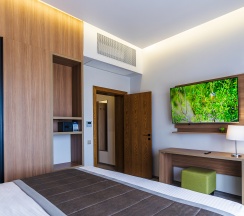 Номер комфорт с 1 двуспальной кроватью в Alleya Resort