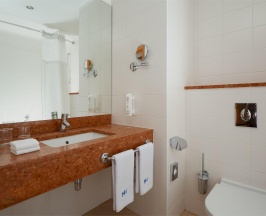 Номер стандарт с 1 двуспальной кроватью queen-size в HolidayHall