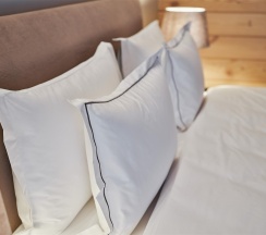 Номер Классик с двуспальной кроватью c видом на реку и балконом в Grand Chalet Altay
